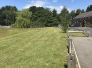 Click for all images